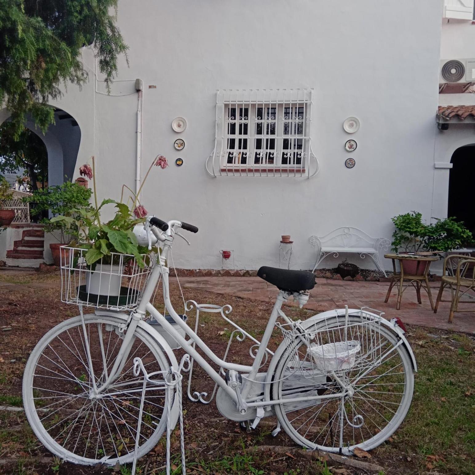 Da Tea Acomodação com café da manhã San Teodoro  Exterior foto